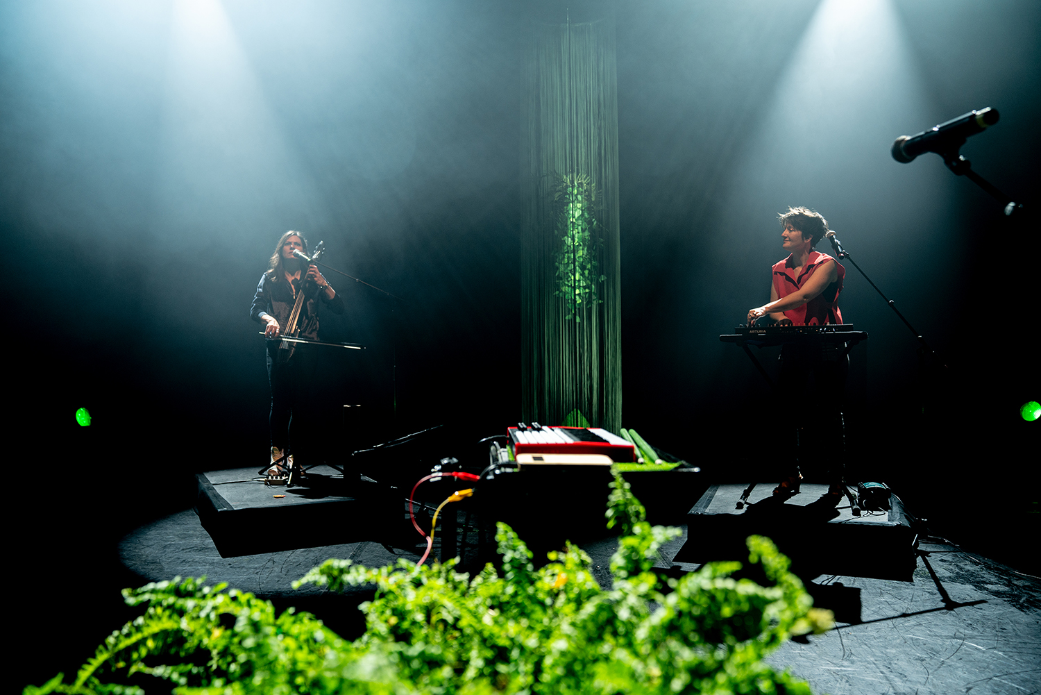 Forêts, envoûtant concert jeune public de Nelson à voir 